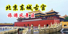 操浪逼视频爆草强奸中国北京-东城古宫旅游风景区