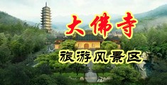 啊我要日我大鸡巴操我视频逼逼中国浙江-新昌大佛寺旅游风景区